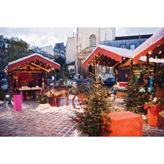 Visite guidée des marchés de Noël Paris