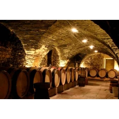 Wine tour in France