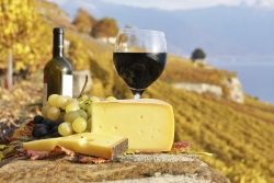 All inclusive French Wine Tour