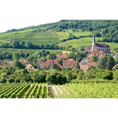 Wine tour in France