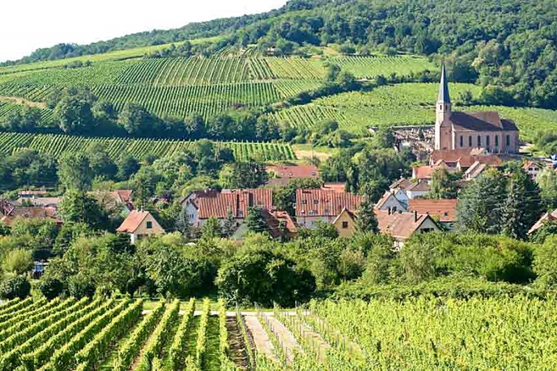 wine tours of alsace